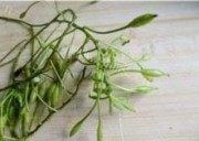下酒菜菱藤炒毛豆做法图解1)
