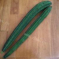 肉片炒圣瓜做法图解1)
