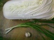 素炒大白菜做法图解1)