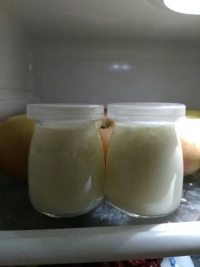 自制老酸奶
