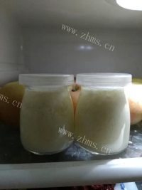 自制老酸奶