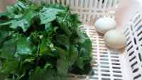 营养白花菜鸡蛋汤的做法图解二