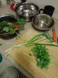 美味的香菜鱼腥草面做法图解1)