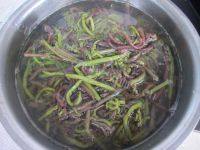 味道不错的肉丝炒蕨菜做法图解2)