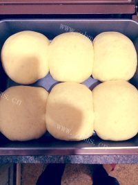 自制牛奶小餐包做法图解13)