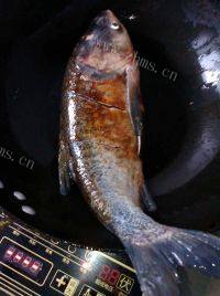美味的鲫鱼豆腐汤做法图解1)