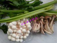 家常菜芹菜炒蘑菇做法图解1)