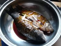 好吃的电饼铛烤鲫鱼做法图解6)