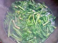 鲜甜拌菠菜做法图解3)