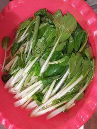 家常菜白灼小白菜做法图解1)