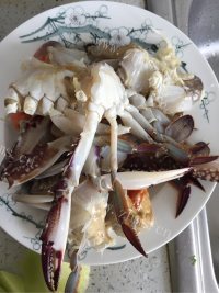 美味干锅海鲜做法图解2)