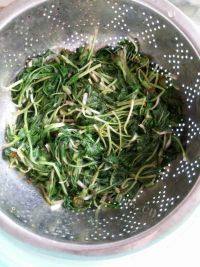 简单的凉拌蒲公英做法图解3)