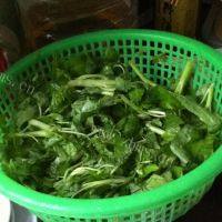 家常菜蒜香空心菜做法图解1)