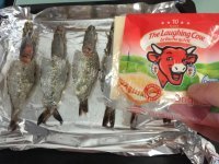 美味的芝士焗大虾做法图解6)
