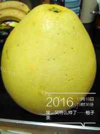 好喝的蜂蜜柚子茶做法图解1)