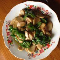 家常菜杏鲍菇炒青椒