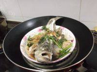 「简单版」清蒸鲈鱼