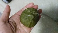 自制抹茶红豆酥做法图解4)