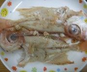 美味的红烧大眼鸡做法图解2)