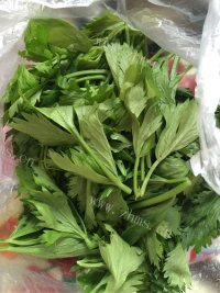 回味无穷的蒸芹菜叶做法图解1)