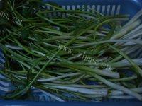 家常菜清炒水芹菜做法图解1)