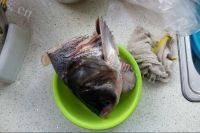 鲜香美味鱼头炖豆腐做法图解1)