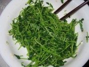 凉拌豆苗