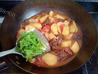家常菜土豆炖牛腩