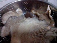 诱人的炸蘑菇做法图解1)