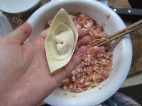 美味的鲜肉馄饨做法图解15)