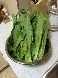 特色美食蒜蓉油麦菜做法图解1)