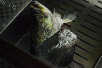美味的椒香桂鱼做法图解3)
