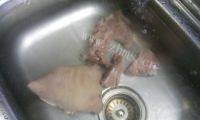 白切羊肉做法图解2)