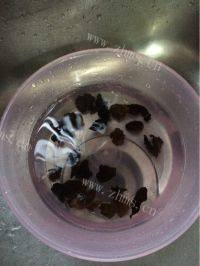 美味的海带牛肉汤做法图解2)