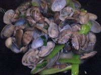很有食欲的青椒炒花甲做法图解13)
