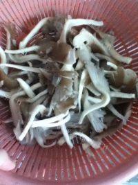 家常菜蘑菇豆腐汤做法图解2)
