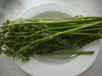 家常菜凉拌蕨菜做法图解1)