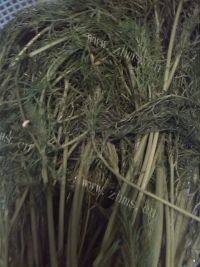 在家做的茴香饺子做法图解1)