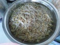 简单的凉拌绿豆芽做法图解2)