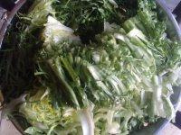 清炒苦菊做法图解2)