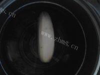 酸甜藕片做法图解2)