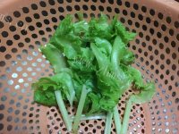 美味的西红柿鸡蛋面做法图解3)