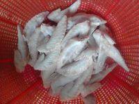 最爱的卤水鸡翅做法图解1)