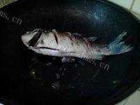 美味的萝卜鲫鱼汤做法图解5)