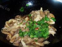 诱人的蘑菇炒肉