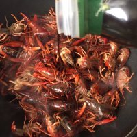 美味的麻辣小龙虾做法图解8)