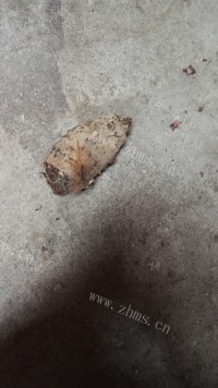 美味客家肉圆做法图解1)