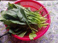 家常菜菠菜汤做法图解2)
