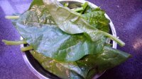 家常菜清炒木耳菜做法图解1)