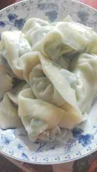 美味的饺子（大馄饨）做法图解14)